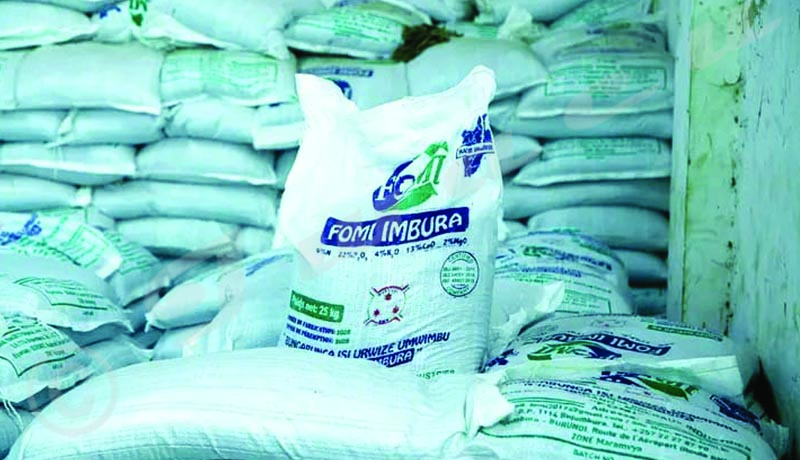 Pénurie d'engrais Fomi à Gitega : les agriculteurs face à l'incertitude