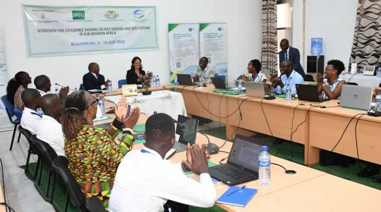 Atelier régional à Bujumbura pour renforcer la productivité du riz en Afrique subsaharienne