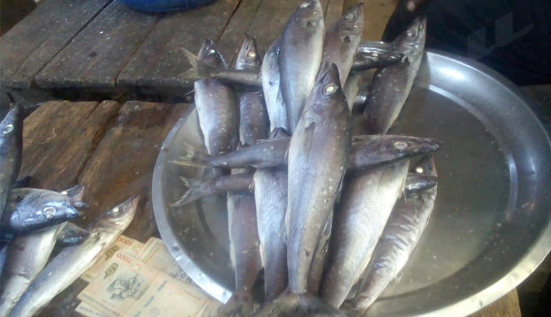 La flambée des prix du poisson à Rumonge : causes et conséquences