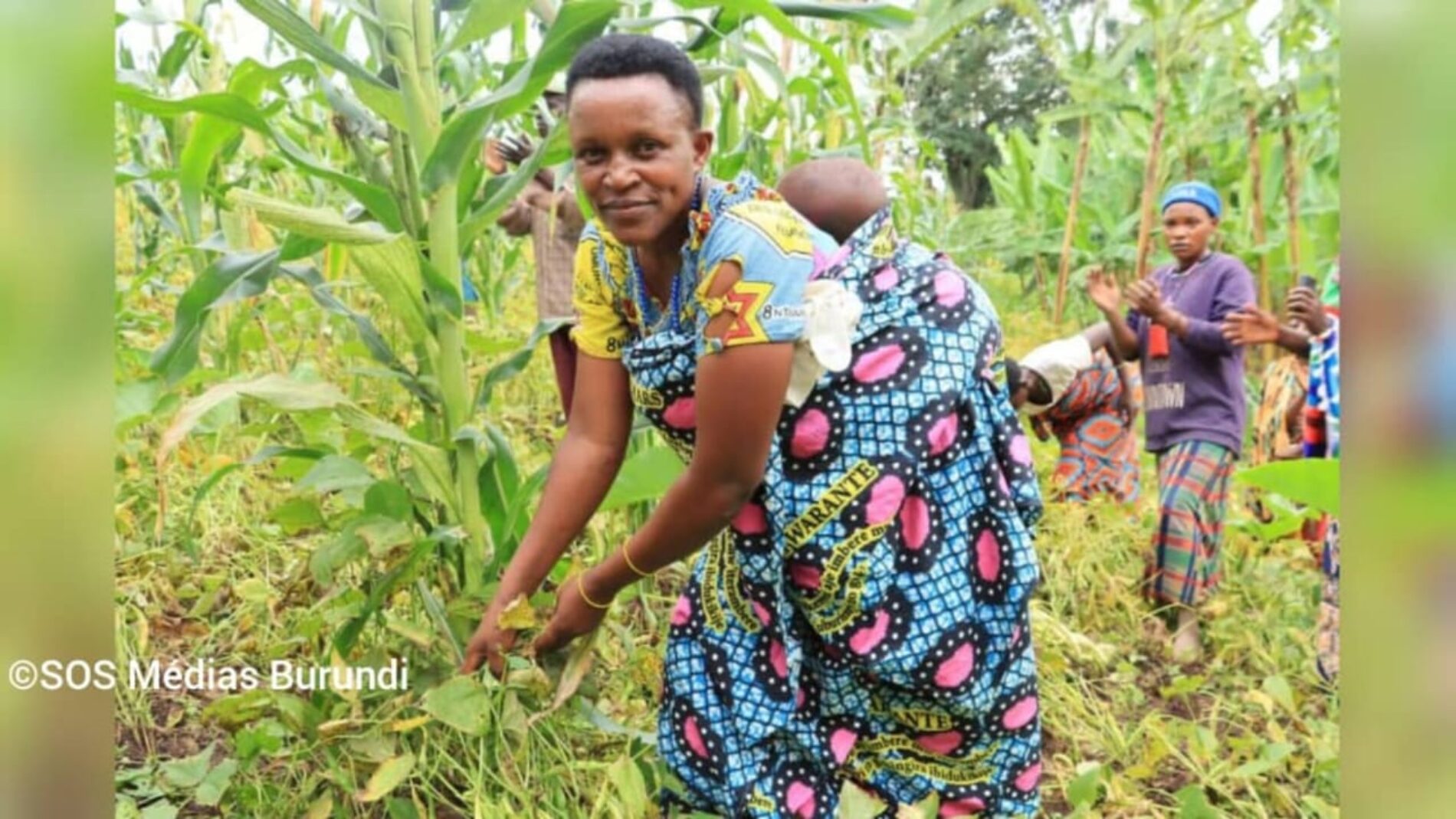 Effondrement des récoltes de haricots au Burundi : l'ombre de la pénurie d'engrais plane sur la sécurité alimentaire