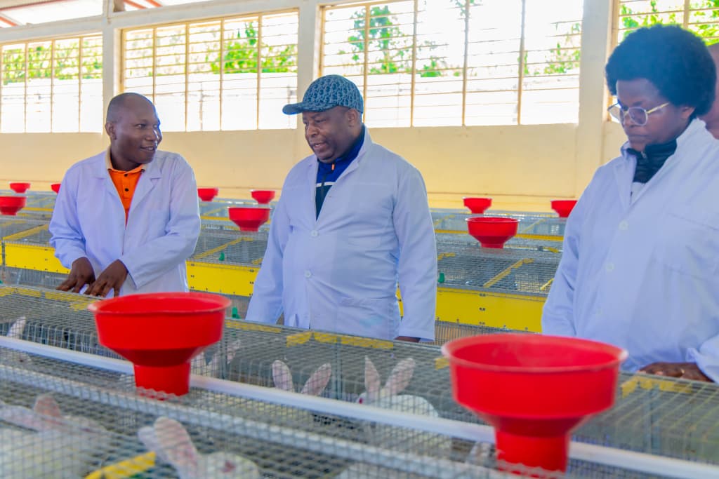 Le Président Ndayishimiye suspend un projet d'élevage de lapins à Karusi