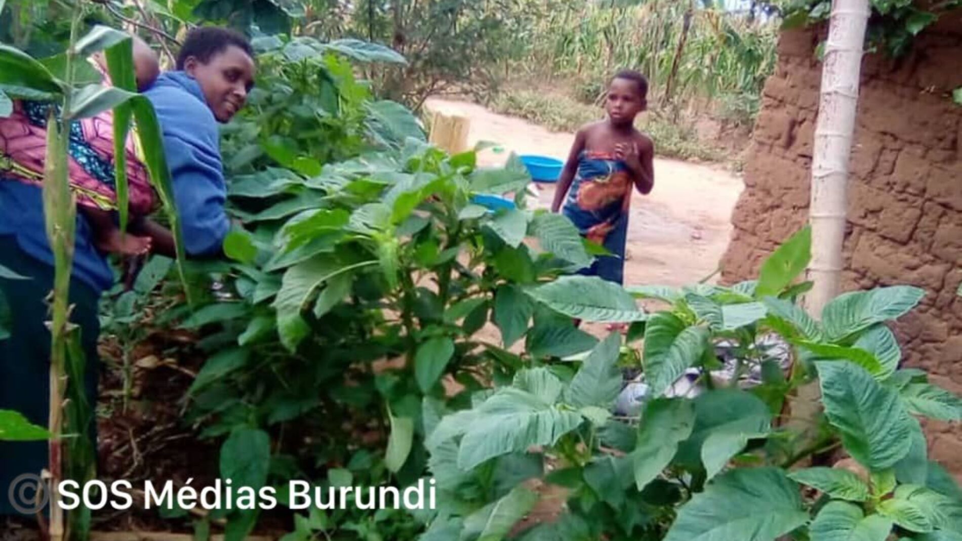 Camp de réfugiés en Ouganda : la réticence face à une campagne d'enregistrement des naissances