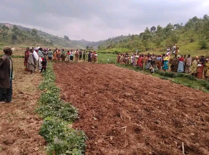Muramvya lance une campagne pour améliorer les rendements agricoles