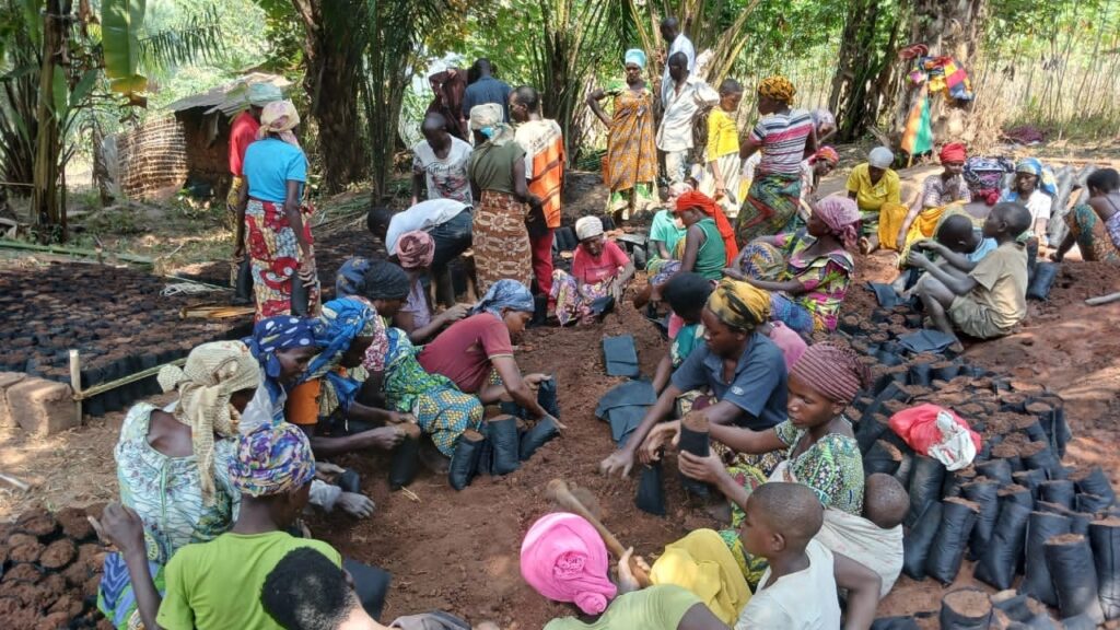 Bubanza lance un projet de pépinière pour 20 000 plants