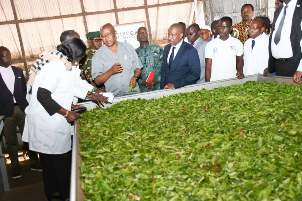 Le Vice-Président du Burundi visite le complexe théicole d'Ijenda pour stimuler la production